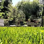 호텔 Forsters Schwarzwald Hof - Resort-hotel&pension 4*