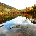 호텔 Forsters Schwarzwald Hof - Resort-hotel&pension