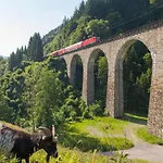 호텔 Forsters Schwarzwald Hof - Resort-hotel&pension 4*