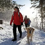 Forsters Schwarzwald Hof - Resort-hotel&pension 호텔 4*