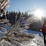 호텔 Forsters Schwarzwald Hof - Resort-hotel&pension 펠트베르크