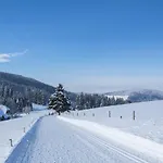 Forsters Schwarzwald Hof - Resort-hotel&pension 4* 펠트베르크