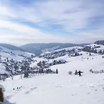 Forsters Schwarzwald Hof - Resort-hotel&pension 펠트베르크