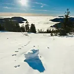 Forsters Schwarzwald Hof - Resort-hotel&pension 호텔