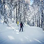 Forsters Schwarzwald Hof - Resort-hotel&pension 호텔 4*