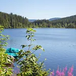 호텔 Forsters Schwarzwald Hof - Resort-hotel&pension 펠트베르크