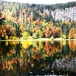 Forsters Schwarzwald Hof - Resort-hotel&pension 호텔 4*