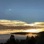 Forsters Schwarzwald Hof - Resort-hotel&pension 호텔