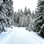 Forsters Schwarzwald Hof - Resort-hotel&pension 호텔 펠트베르크