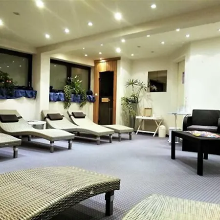 Forsters Schwarzwald Hof - Resort-hotel&pension 费尔德伯格