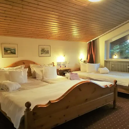 Forsters Schwarzwald Hof - Resort-hotel&pension Hotel Feldberg (Baden-Wurttemberg)