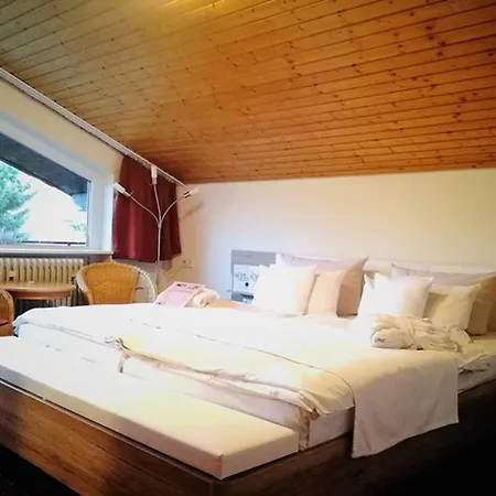 Forsters Schwarzwald Hof - Resort-hotel&pension 酒店 费尔德伯格
