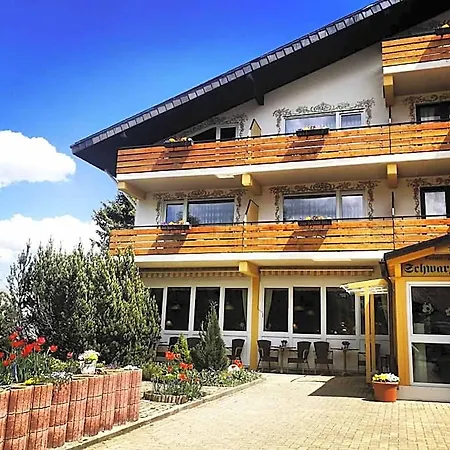 Forsters Schwarzwald Hof - Resort-hotel&pension 4* Feldberg (Baden-Wurttemberg)