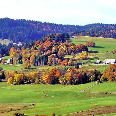 Forsters Schwarzwald Hof - Resort-hotel&pension 4* Feldberg (Baden-Wurttemberg)