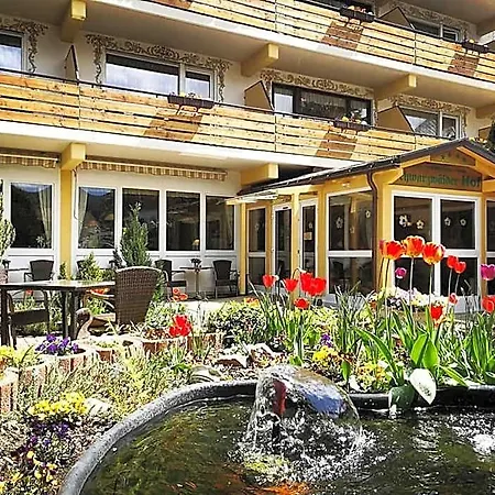 Hotel Forsters Schwarzwald Hof - Resort-hotel&pension Feldberg (Baden-Wurttemberg)