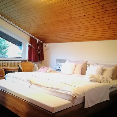 Forsters Schwarzwald Hof - Resort-hotel&pension Hotel Feldberg (Baden-Wurttemberg)