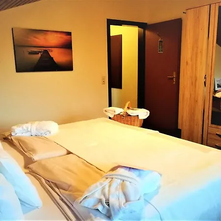 Forsters Schwarzwald Hof - Resort-hotel&pension 4* 费尔德伯格