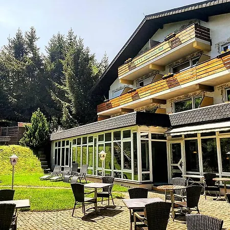 Forsters Schwarzwald Hof - Resort-hotel&pension 酒店 4*