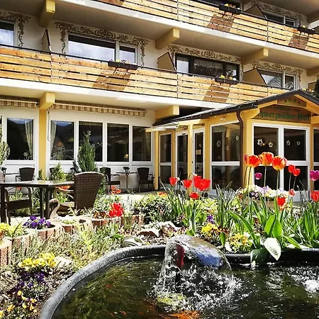 Forsters Schwarzwald Hof - Resort-hotel&pension Szálloda