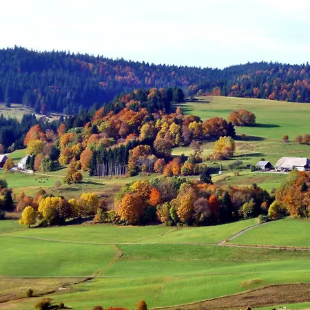 Szálloda Forsters Schwarzwald Hof - Resort-hotel&pension
