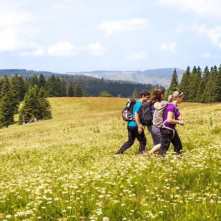 Forsters Schwarzwald Hof - Resort-hotel&pension Szálloda