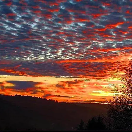 Hotel Forsters Schwarzwald Hof - Resort-hotel&pension 4*