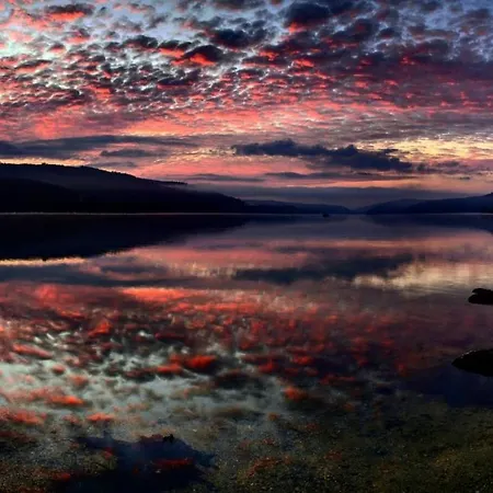 Forsters Schwarzwald Hof - Resort-hotel&pension