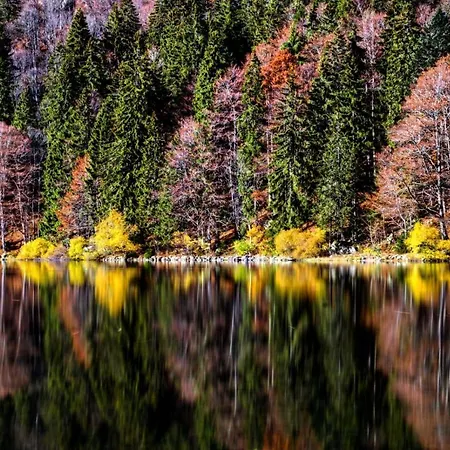 Szálloda Forsters Schwarzwald Hof - Resort-hotel&pension Feldberg