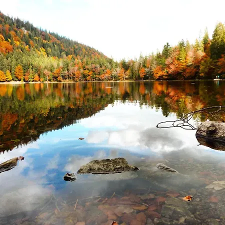 Szálloda Forsters Schwarzwald Hof - Resort-hotel&pension