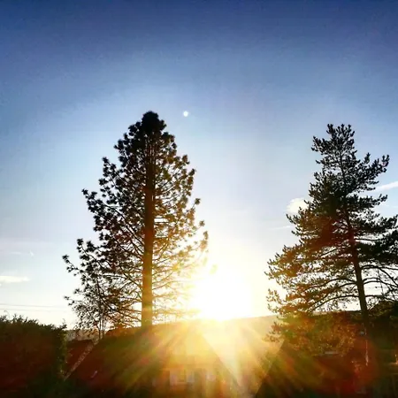 Forsters Schwarzwald Hof - Resort-hotel&pension Feldberg (Baden-Wurttemberg)