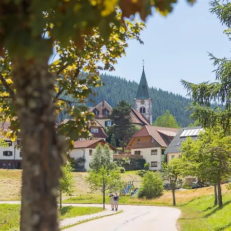 Forsters Schwarzwald Hof - Resort-hotel&pension 酒店