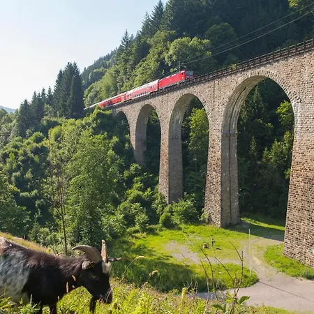 Hotel Forsters Schwarzwald Hof - Resort-hotel&pension 4*