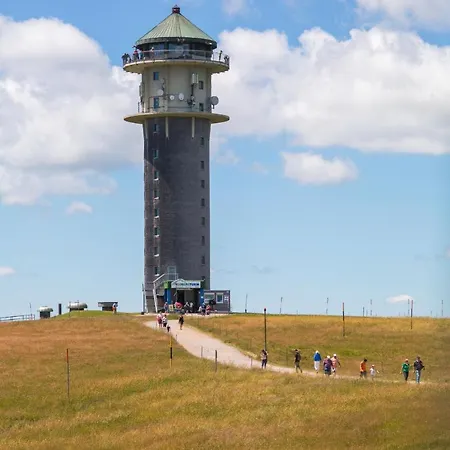 Forsters Schwarzwald Hof - Resort-hotel&pension 4* Feldberg (Baden-Wurttemberg)