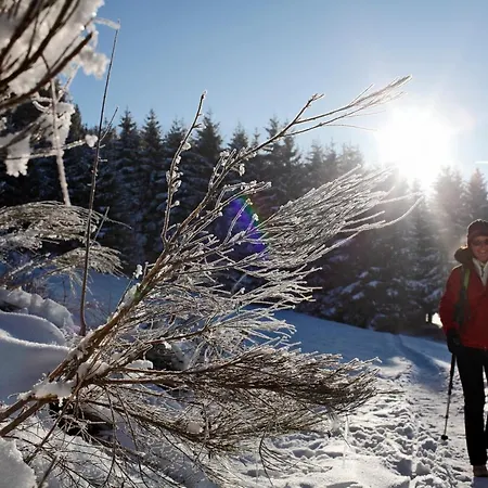 Hotel Forsters Schwarzwald Hof - Resort-hotel&pension Feldberg (Baden-Wurttemberg)