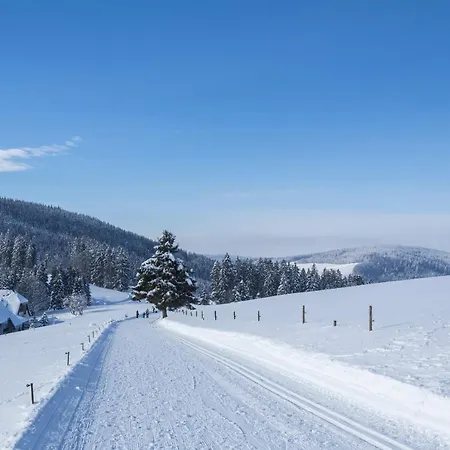 Forsters Schwarzwald Hof - Resort-hotel&pension 4* 费尔德伯格
