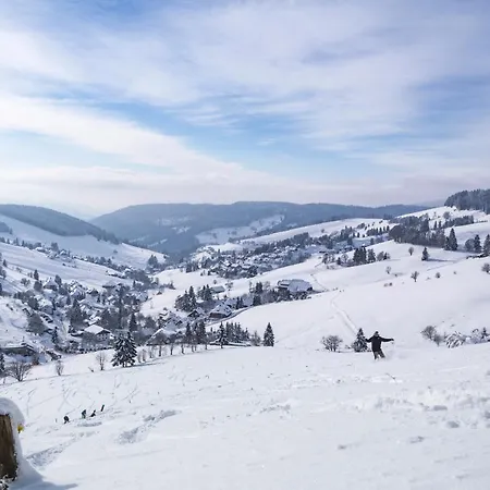 Forsters Schwarzwald Hof - Resort-hotel&pension 费尔德伯格