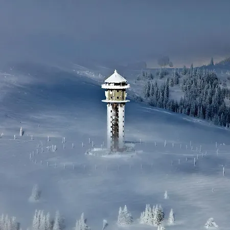 Hotel Forsters Schwarzwald Hof - Resort-hotel&pension Feldberg (Baden-Wurttemberg)