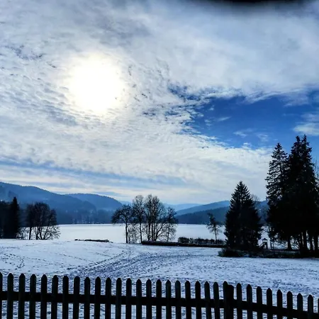 Forsters Schwarzwald Hof - Resort-hotel&pension 费尔德伯格
