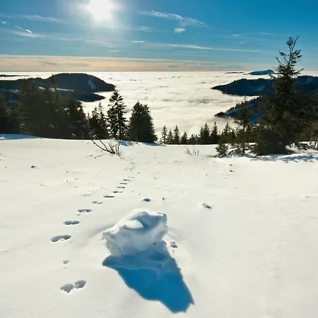 Forsters Schwarzwald Hof - Resort-hotel&pension 酒店