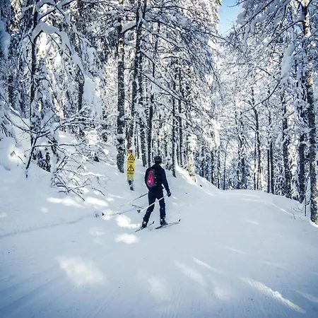 Forsters Schwarzwald Hof - Resort-hotel&pension Hotel 4*