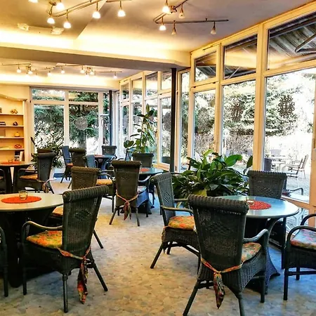 Forsters Schwarzwald Hof - Resort-hotel&pension Hotel Feldberg (Baden-Wurttemberg)