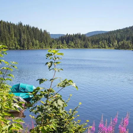 Hotel Forsters Schwarzwald Hof - Resort-hotel&pension Feldberg (Baden-Wurttemberg)