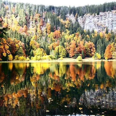 Forsters Schwarzwald Hof - Resort-hotel&pension Hotel 4*