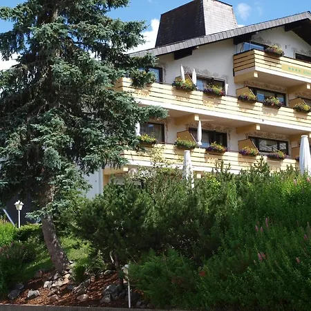 酒店 Forsters Schwarzwald Hof - Resort-hotel&pension