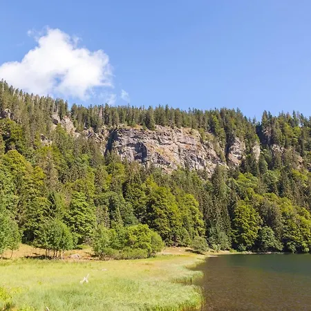 Forsters Schwarzwald Hof - Resort-hotel&pension Feldberg