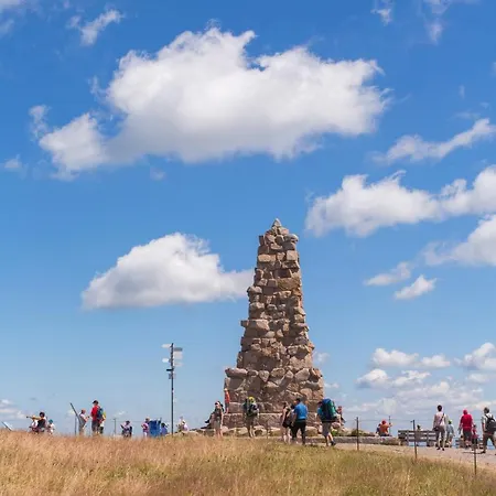 Forsters Schwarzwald Hof - Resort-hotel&pension Hotel 4*