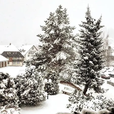 Forsters Schwarzwald Hof - Resort-hotel&pension Feldberg (Baden-Wurttemberg)