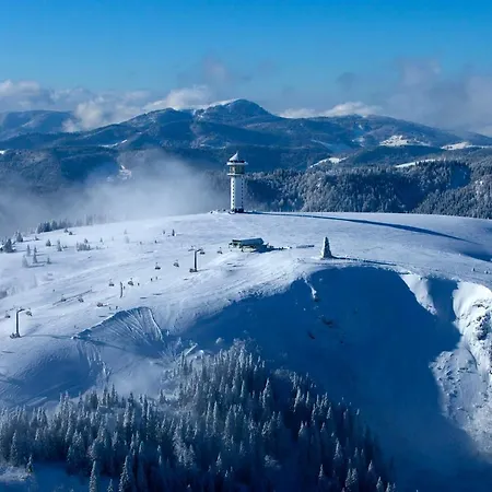 Forsters Schwarzwald Hof - Resort-hotel&pension 酒店 4*