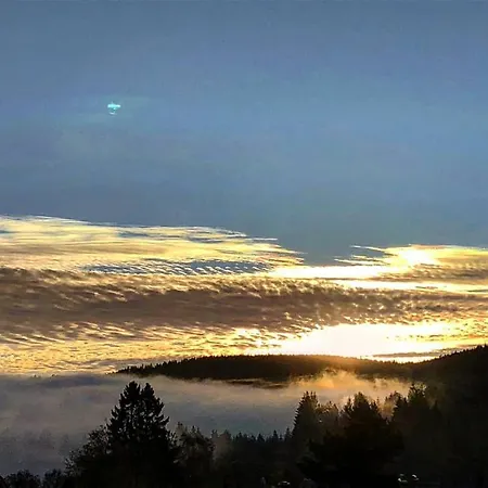 Forsters Schwarzwald Hof - Resort-hotel&pension Szálloda