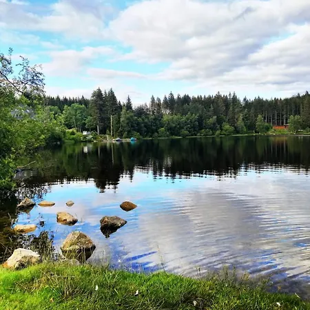 Forsters Schwarzwald Hof - Resort-hotel&pension 4* Feldberg